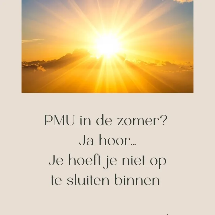 Recent werk van PMU Clinic op Instagram